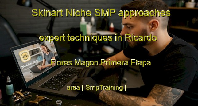 Skinart Niche SMP approaches expert techniques in Ricardo Flores Magon Primera Etapa area | SmpTraining | SmpClasses | SkinartTraining-Mexico
